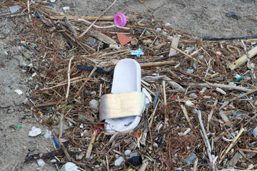 Pillole di mare 4